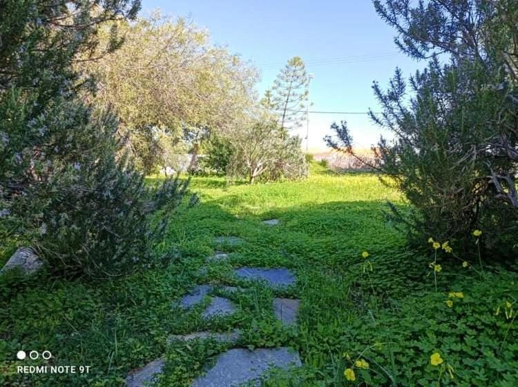 Villa Velissarios: Wonderful Villa Next To Beach Aegina Exterior foto